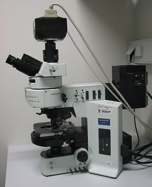 Fluorescence microscopy